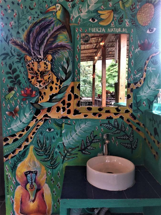 Casa Kiwi Hostel Medellin Bagian luar foto